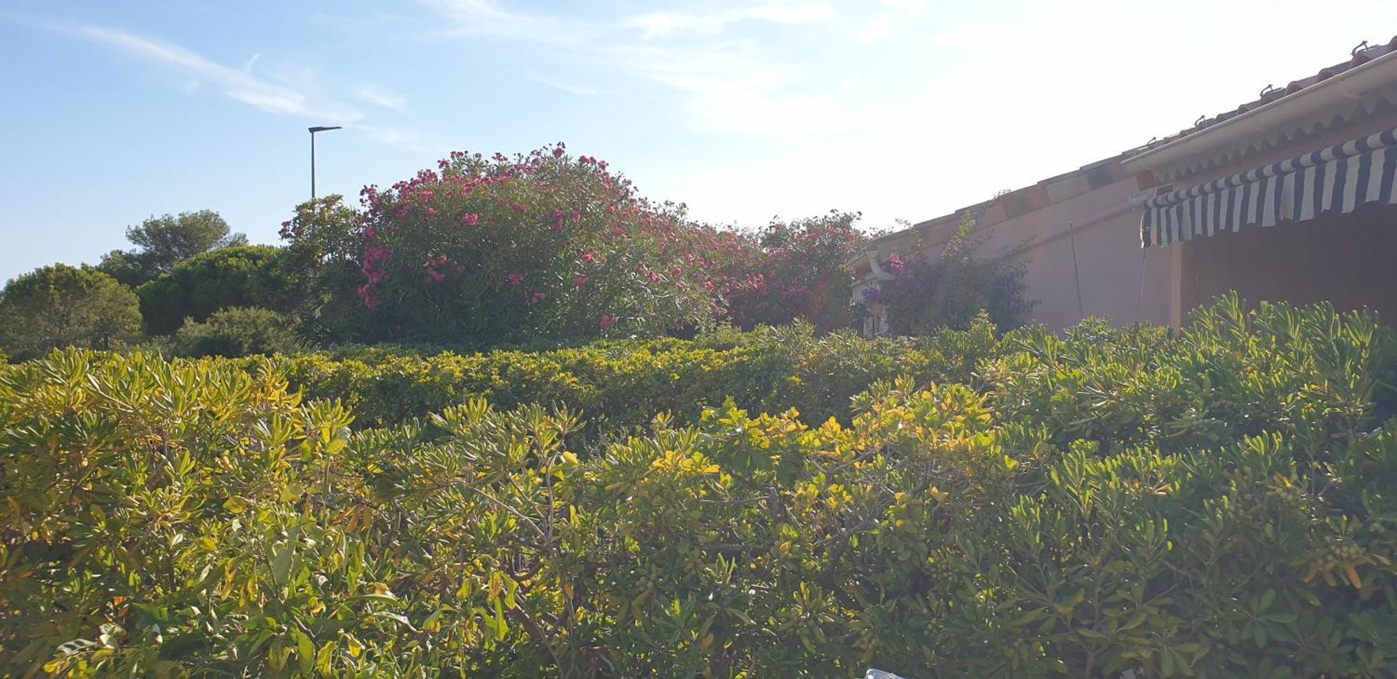 Giens Peninsula Seaside Villa: Private Garden, Pool, And Access *